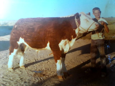 patio cover installation near me Roseville patio covers lattice patio covers solid patio covers patio cover installs patio covers patio cover installation sacramento patio covers patio cover design patio covers Roseville best patio covers Roseville and folsom custom built patio covers patio contractors porch patios, patio contractors patio cover contractor patio cover in Roseville ca Western Sky Patio Covers - Patio Cover Installation - Proudly Serving West Sacramento and the surrounding area
